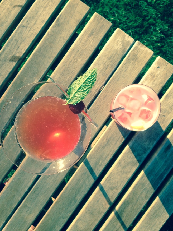 Pimms Martini and Rhubarb Sour